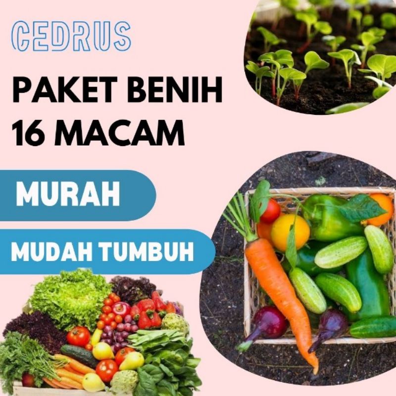Jual Hot Paket Benih Jenis Sayur Bonus Pupuk Dan Polybag Shopee Indonesia