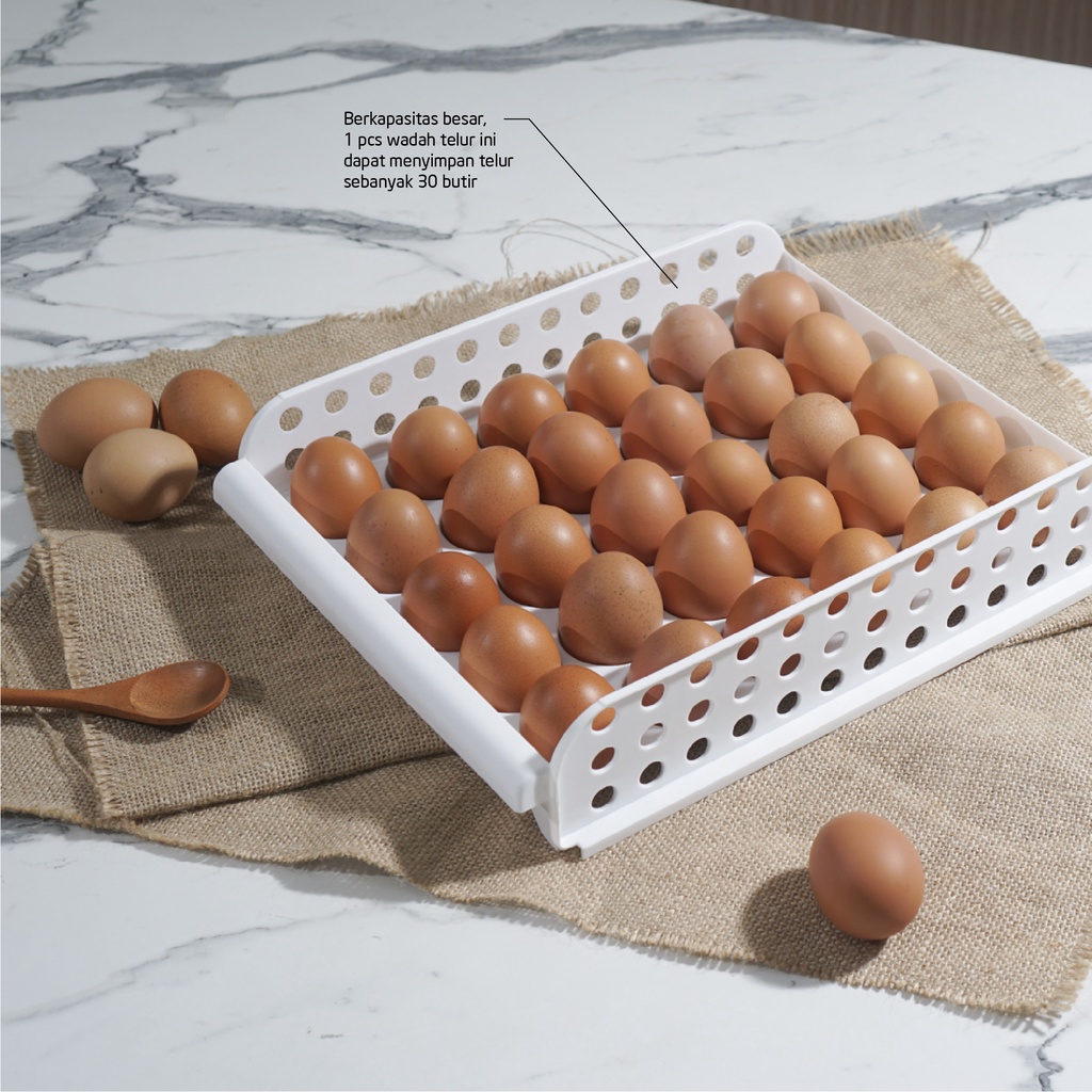 Jual Technoplast egg crate | Rak Telur | Tatakan Telur | Tempat ...
