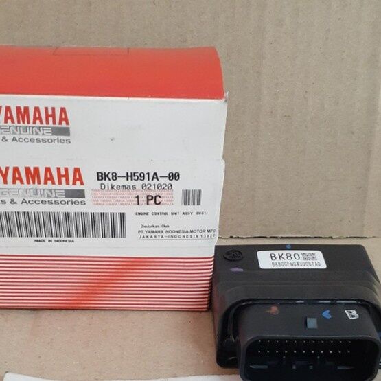 Yamaha Electric Kontrol photo