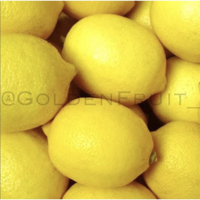 Jual Lemon import/ jeruk lemon import 500gr | Shopee Indonesia