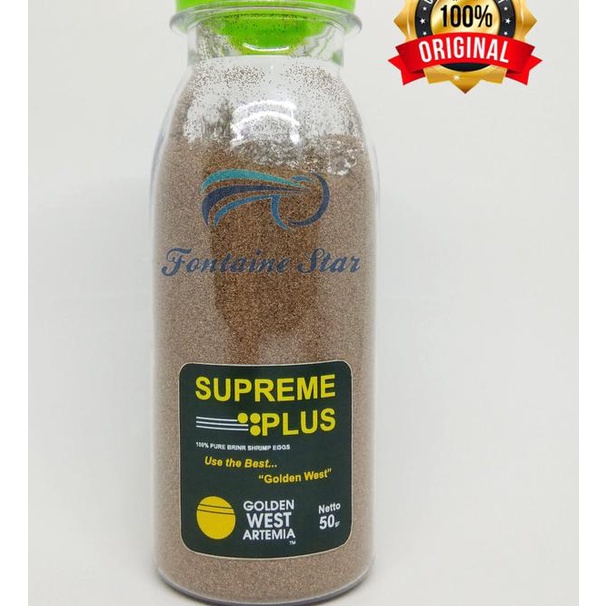 Jual Artemia Golden Supreme Plus Gram Shopee Indonesia