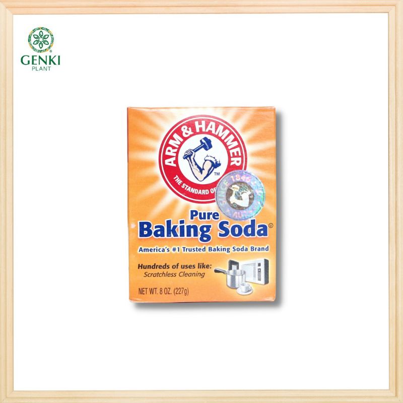 Jual Arm & Hammer Pure Baking Soda 226 g Shopee Indonesia