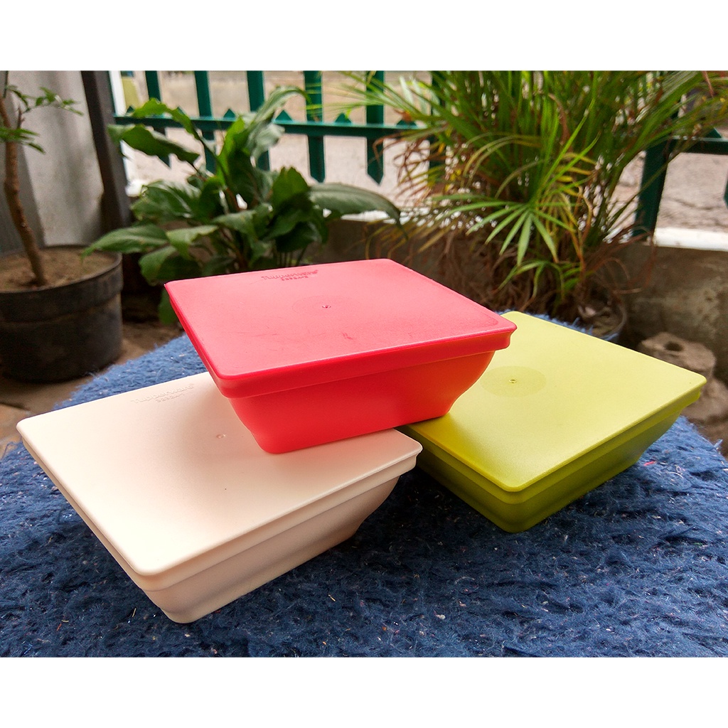 Jual TUPPERWARE Petit Ichigo 200 ML 1 Pcs | Shopee Indonesia