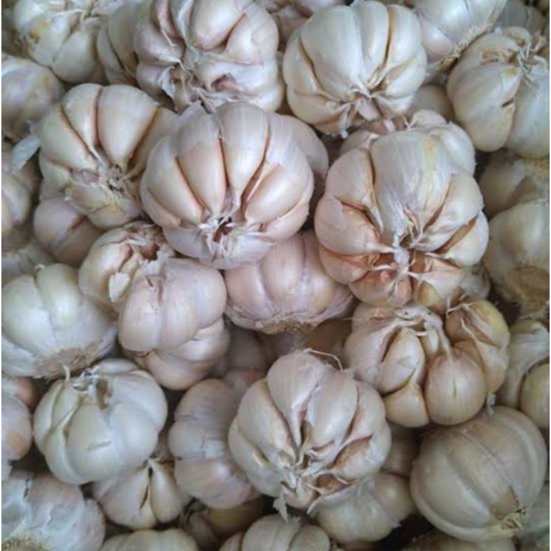 Jual Bawang Putih Honan Bawang Putih Banci 1kg Shopee Indonesia