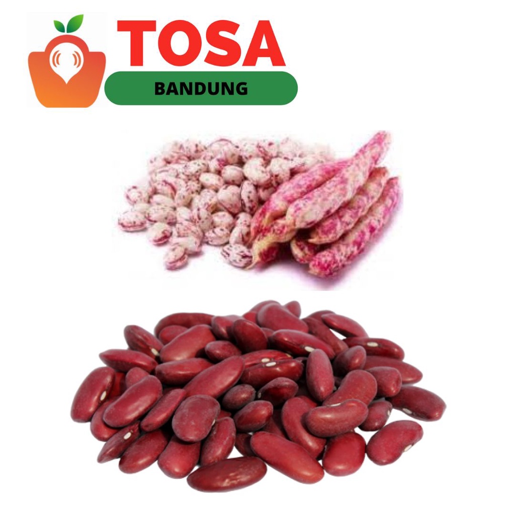 Jual Kacang endul/Kacang Merah | Shopee Indonesia