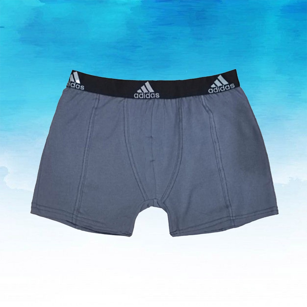 Celana Dalam Pria Boxer Isi 12 (1 Lusin) Random