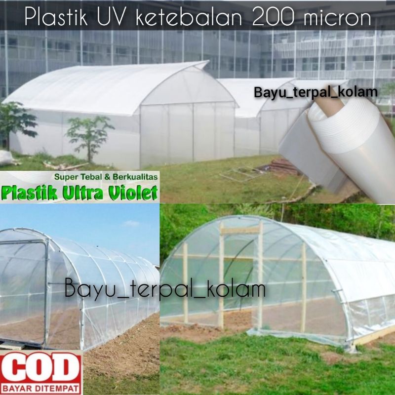 PLASTIK UV LEBAR 4 METER KETEBALAN 200 MICRON BISA BUAT KOLAM IKAN