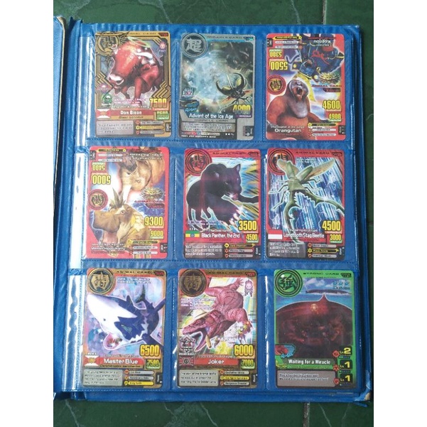 Jual kartu animal kaiser | Shopee Indonesia