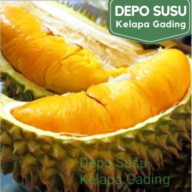 Jual Durian Beku Motong Palu | Musang King | Malaysia D101 Duren ...