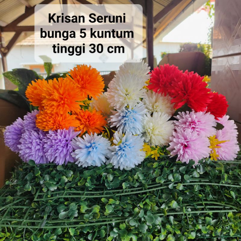 Jual Bunga Krisan Seruni Bunga Pompom Hias Dekorasi Tanpa Pot