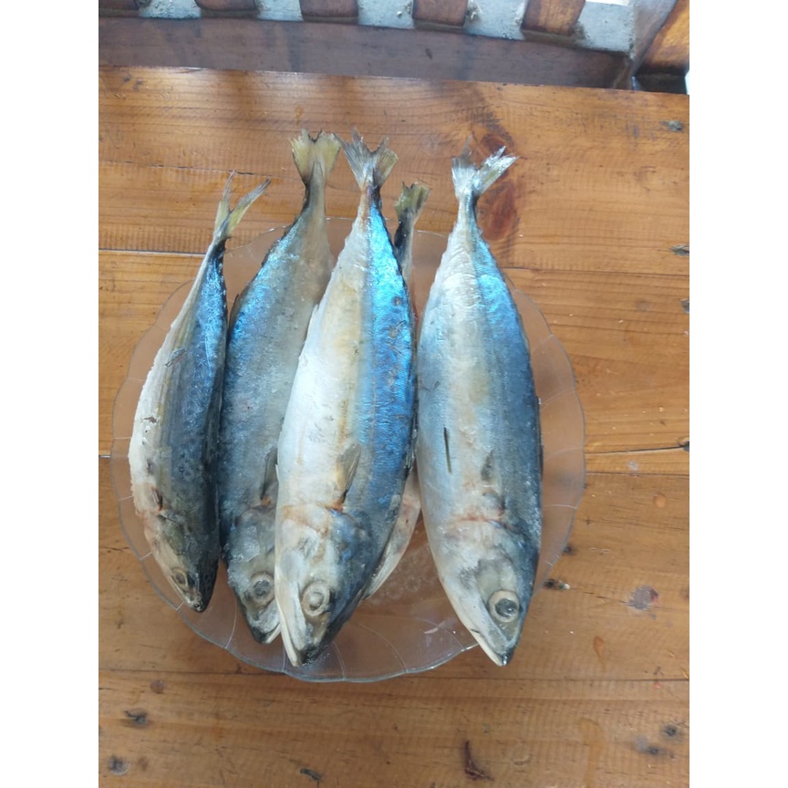 Jual Ikan Kembung Banjar Ikan Laut 1kg Shopee Indonesia