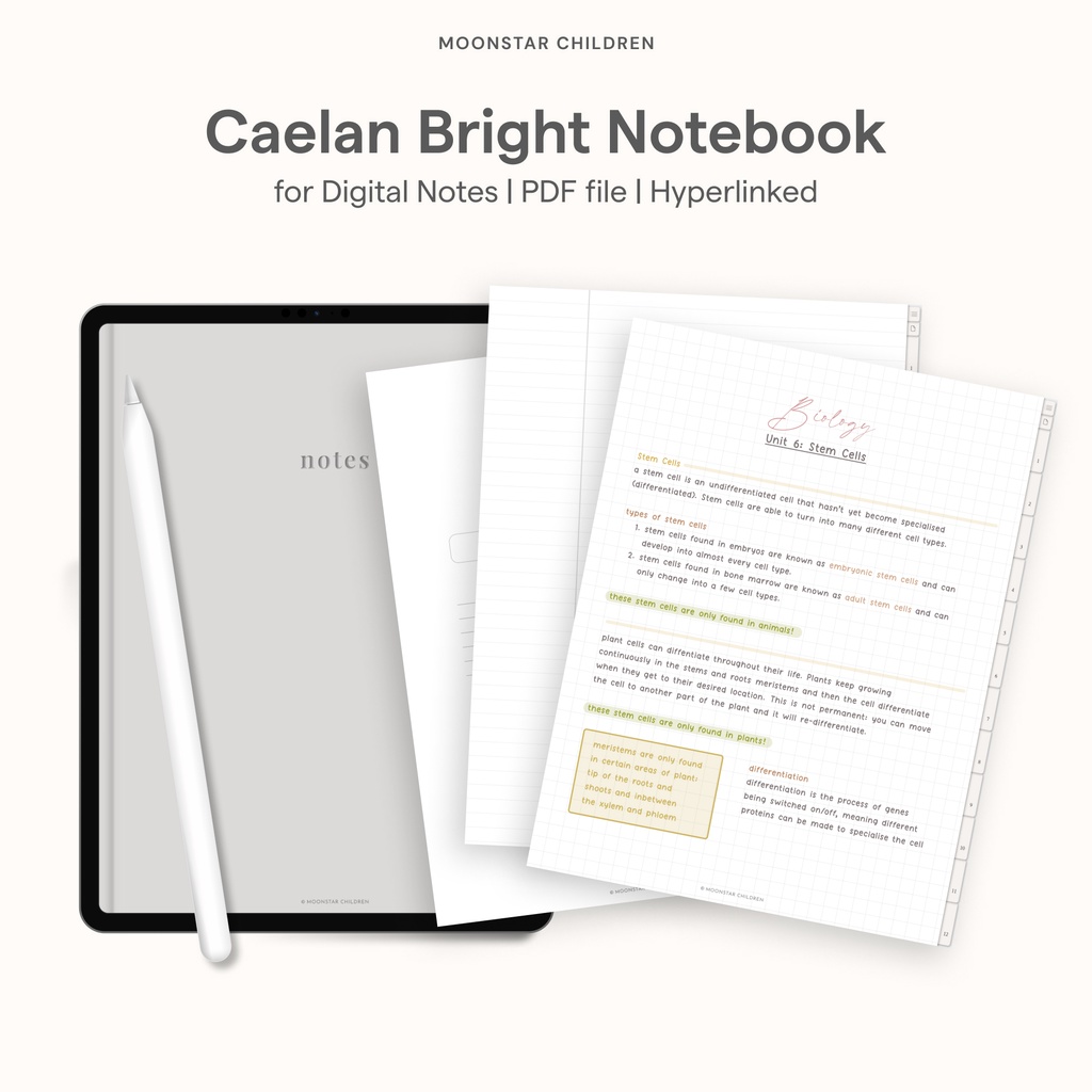 Jual Caelan Bright Digital Notebook BuJo Journal Note taking Study ...
