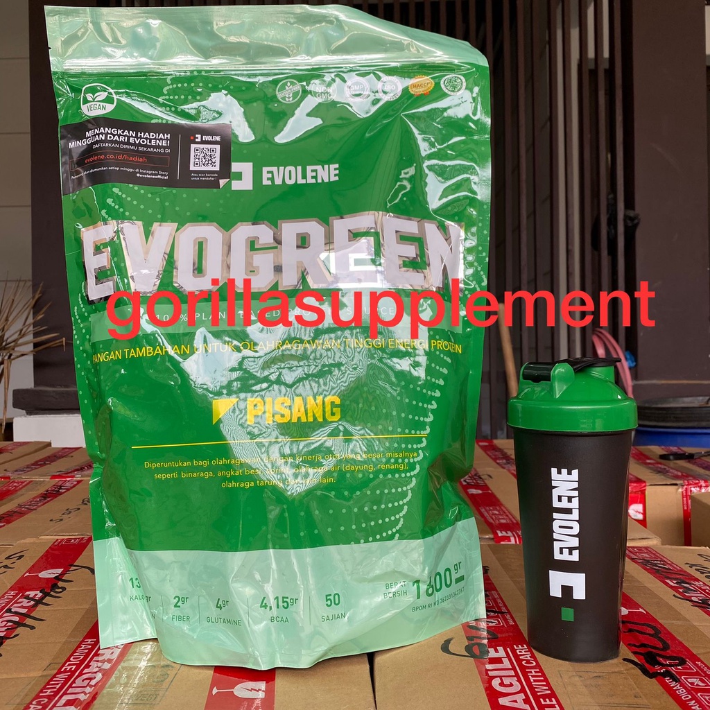 Jual EVOLENE EVOGREEN 50 Sachet / 1600 Gram Vegan Protein Lactose Free ...