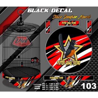 Bikini boyash porno video