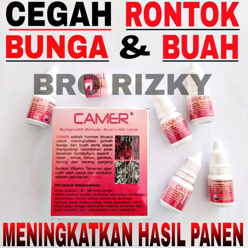 Jual OBAT PERTANIAN CAMER - UNTUK MENGATASI RONTOK BUNGA & BUAH ...