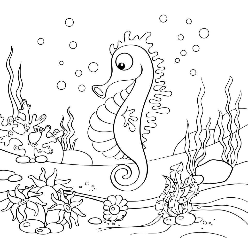 Jual Gambar Sketsa Mewarnai ~ HEWAN DAN TUMBUHAN BAWAH LAUT/ Seketsa