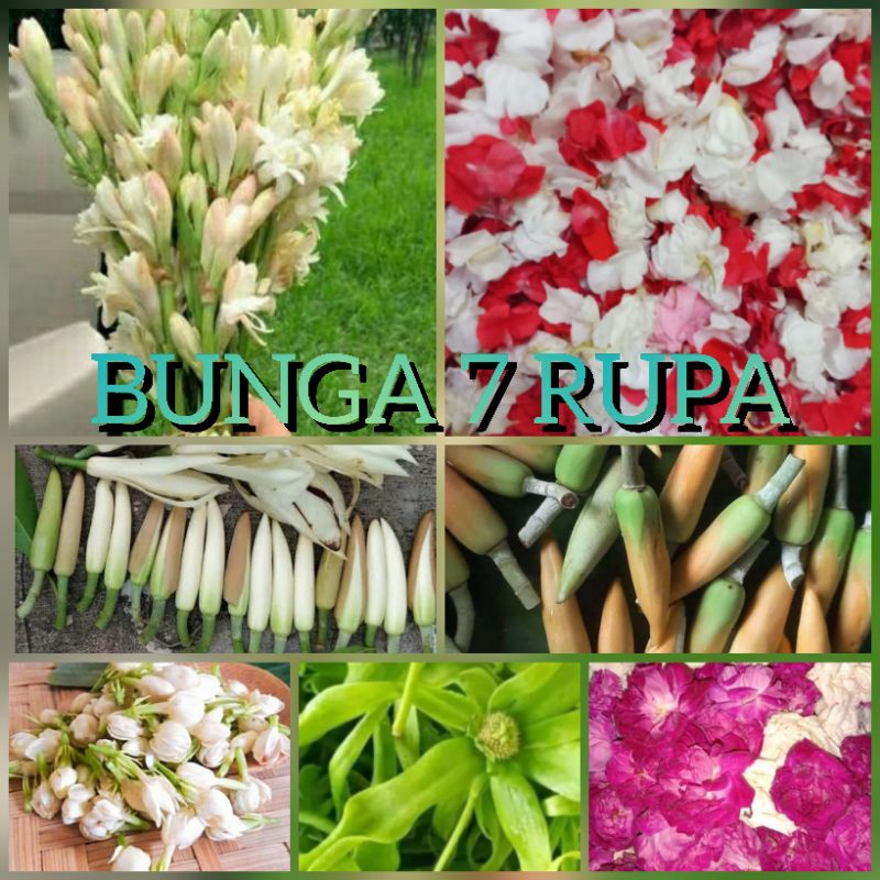 Jual kembang 7 rupa / paket bunga untuk mandi | Shopee Indonesia