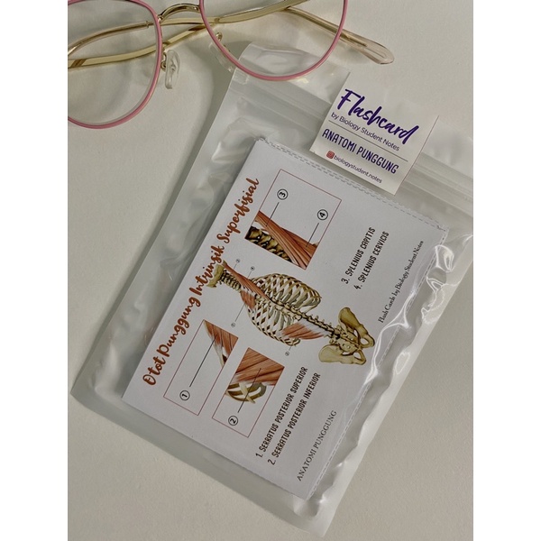 Jual Flashcards Biologi By Biology Student Notes | Shopee Indonesia