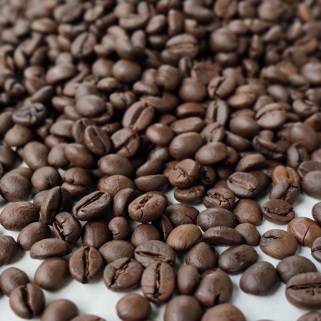 Jual Aza Coffee Kopi Robusta Gayo Premium 500g Bubuk Biji Roasted Beans ...