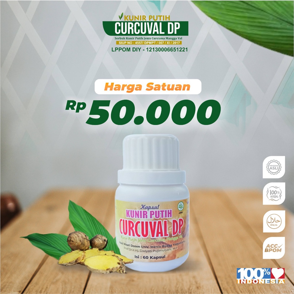 Jual Kunir Putih Isi 60 Kapsul Herbal Kunir Putih Kapsul Shopee Indonesia 7173