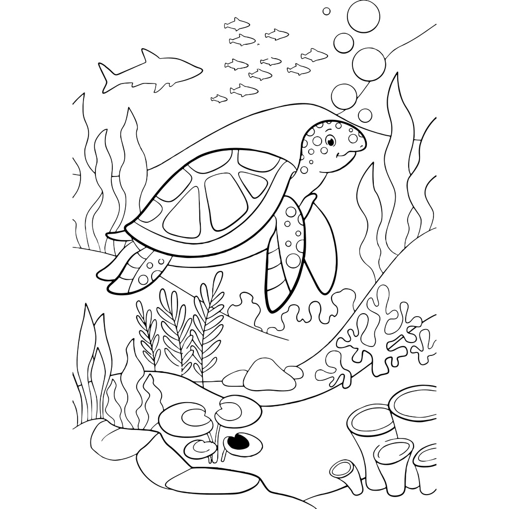 Jual Gambar Sketsa Mewarnai ~ HEWAN DAN TUMBUHAN BAWAH LAUT/ Seketsa