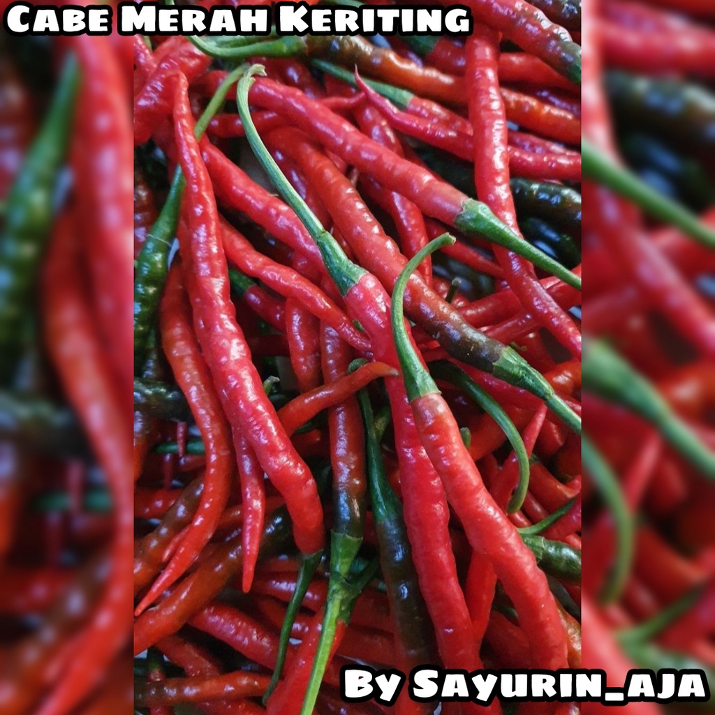 Jual Cabe merah keriting 250gr | Shopee Indonesia
