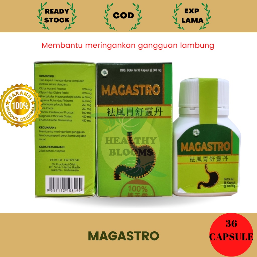 Magastro / Qu Feng Su Wei Ling Dan / Qufeng - Sakit Maag, Asam Lambung