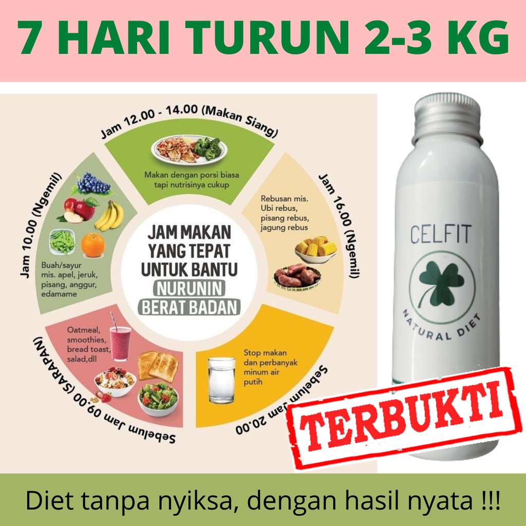 Jual CELFIT NATURAL DIET 60 kapsul Herbal pelangsing BPOM Obat diet