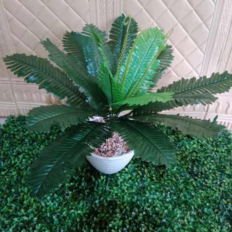 Jual Pakis ulat pot tawon plastik, daun pakis ulat premium | Shopee ...