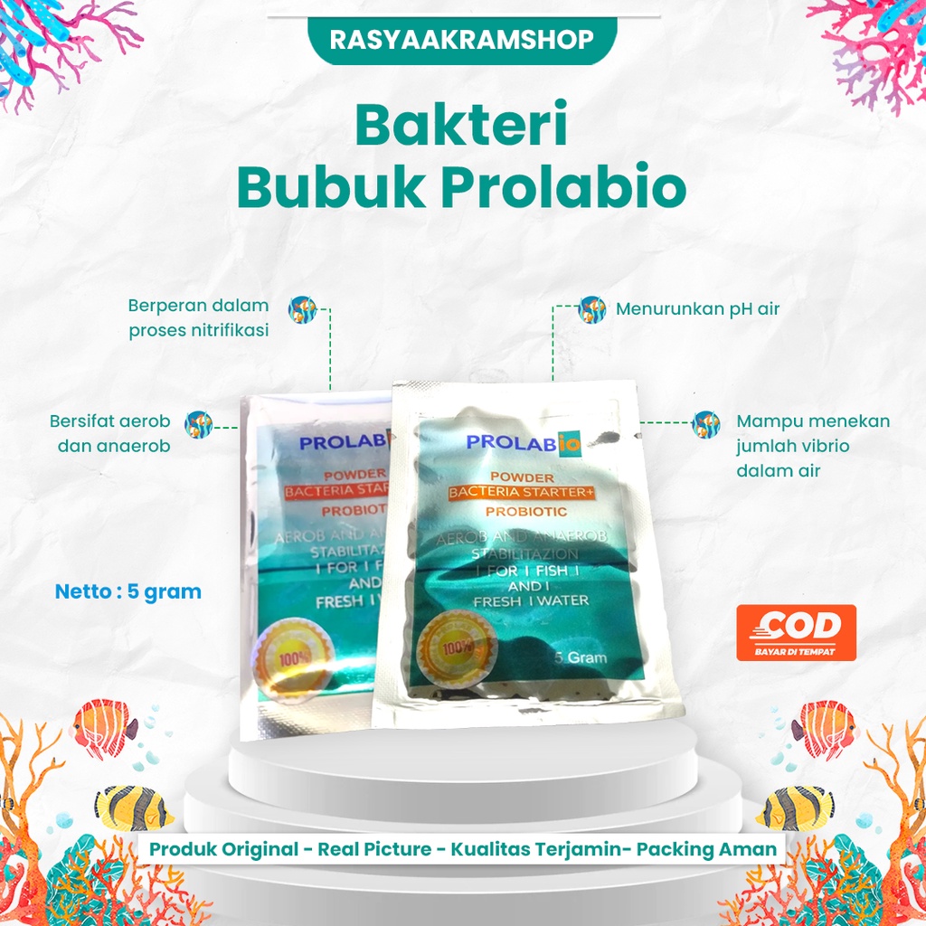 Jual Bakteri Starter Prolabio Bubuk Kemasan 5gram Bacteria Pengurai