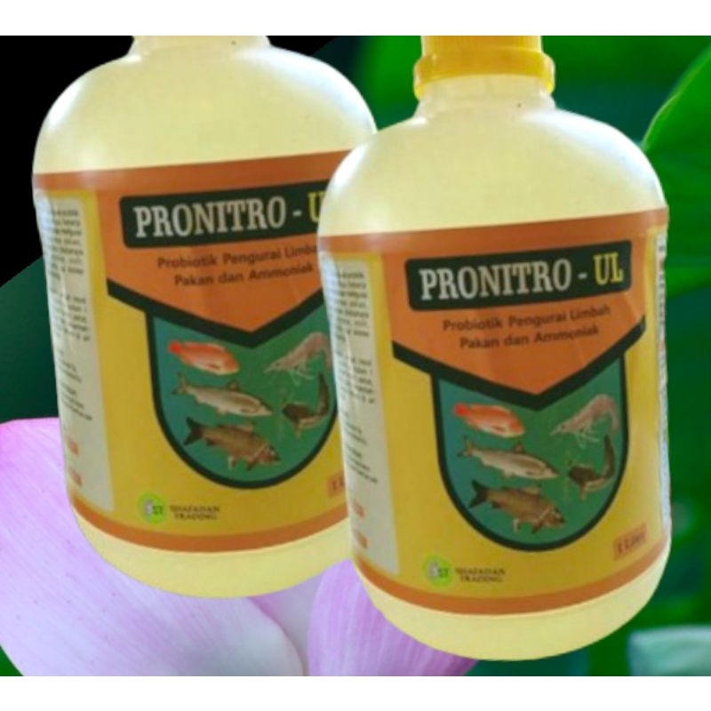 Jual Probiotik Nitrobacter Nitrosomonas Ikan Dan Udang Pronitro 1 Liter