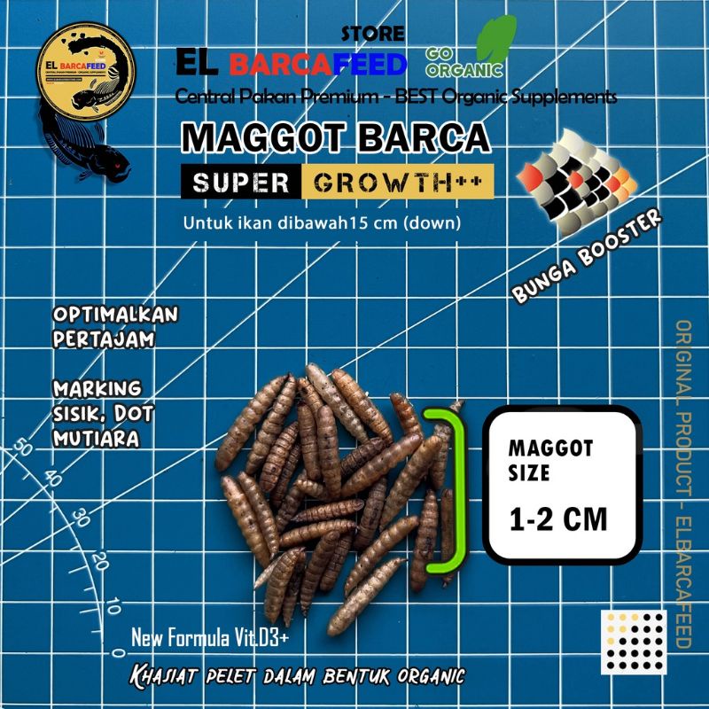 Jual [COD] MAGGOT BARCA SUPER GROWTH 30gr | Shopee Indonesia