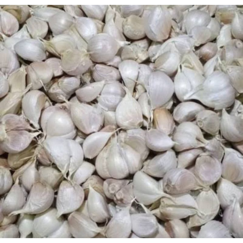 Jual Bawang Putih Kating 1kg Shopee Indonesia