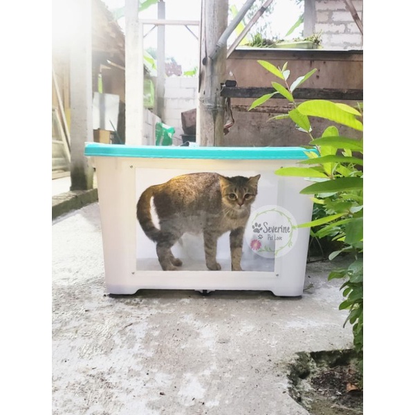 Jual kontainer Container box Modif kandang ular biawak 82Liter ...