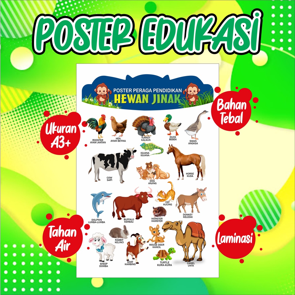 Jual Poster Edukasi Anak Mengenal Hewan Jinak Untuk Pendidikan Belajar