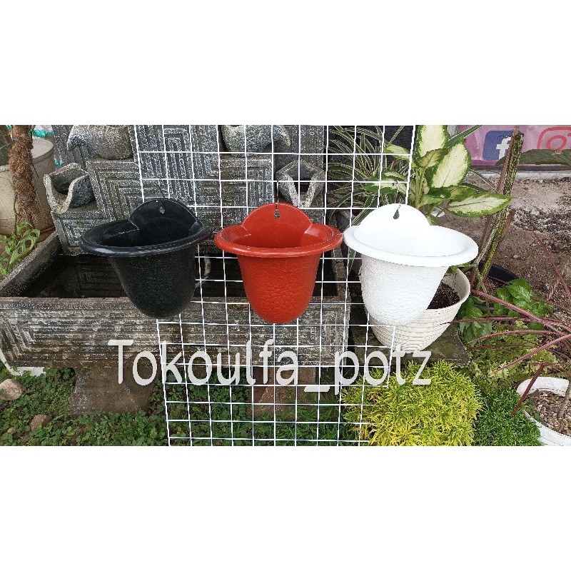 Jual Pot Dinding ANGGUR Shopee Indonesia