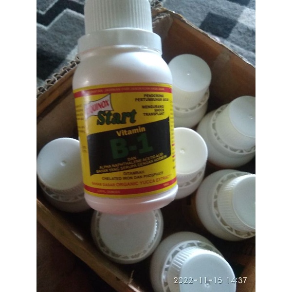 Jual Vitamin Buat Tanaman Hias Dan Bunga Vegetasi Lebah Madu Vitamin B1 ...