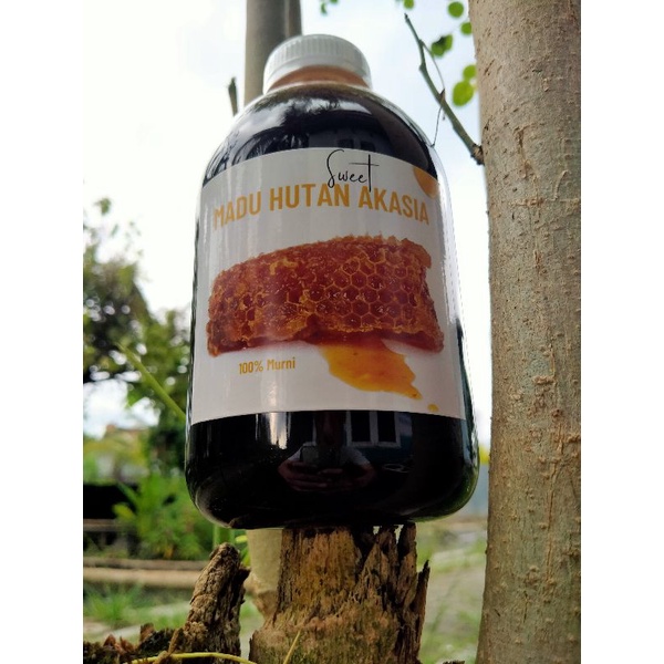 Jual Madu Hutan Akasia Riau Murni Pure Row Honey 1kg Shopee Indonesia 0374