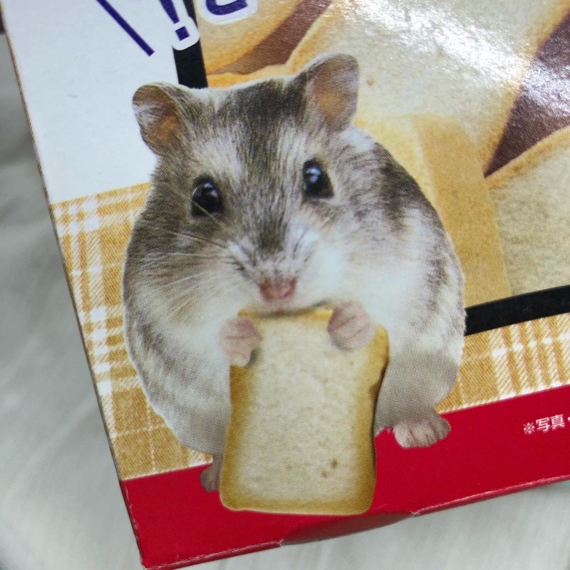 Jual Marukan Shokupan White Bread Roti Hamster Shopee Indonesia
