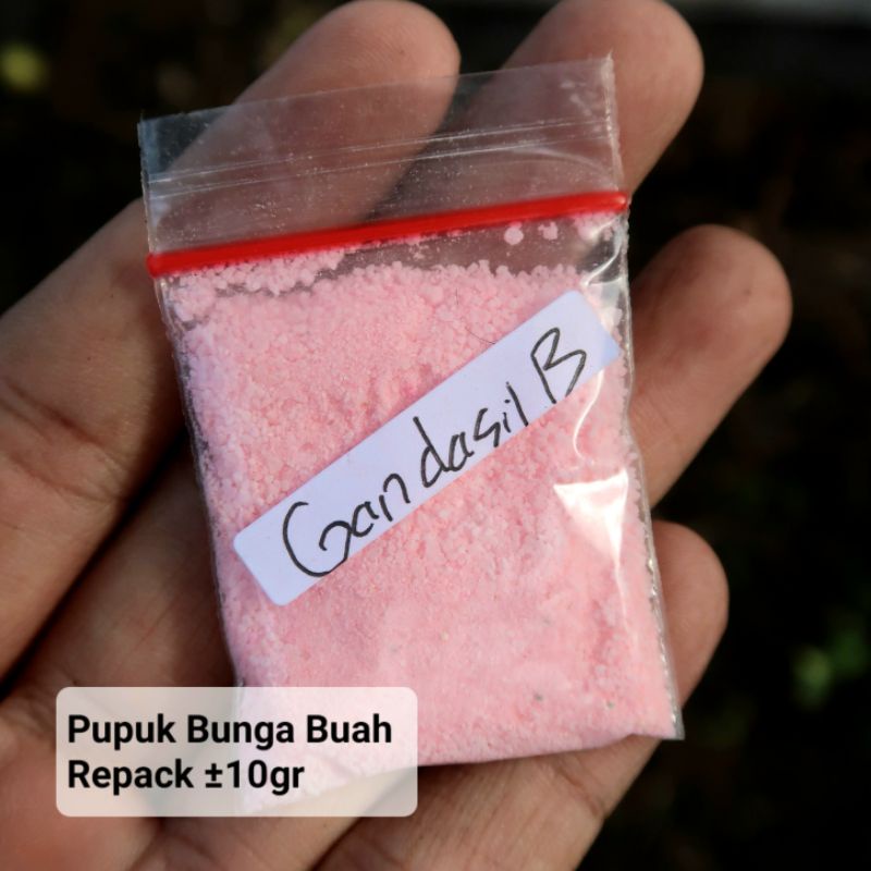 Gandasil B Pupuk Bunga + Buah (Repack)