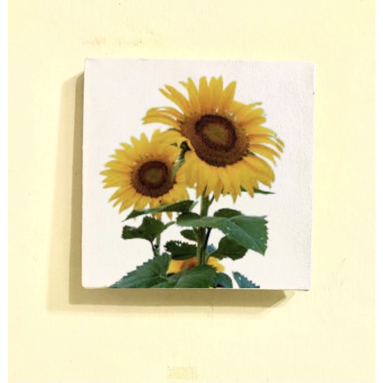 Jual Lukisan Dinding Kanvas Aesthetic - Custom Lukisan Dinding Kanvas