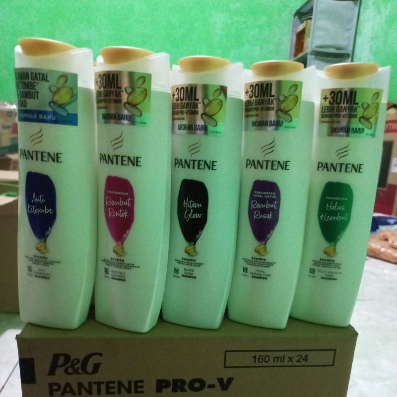 Jual SHAMPO PANTENE ALL VARIANT ISI LEBIH BANYAK, 160 ML | Shopee Indonesia
