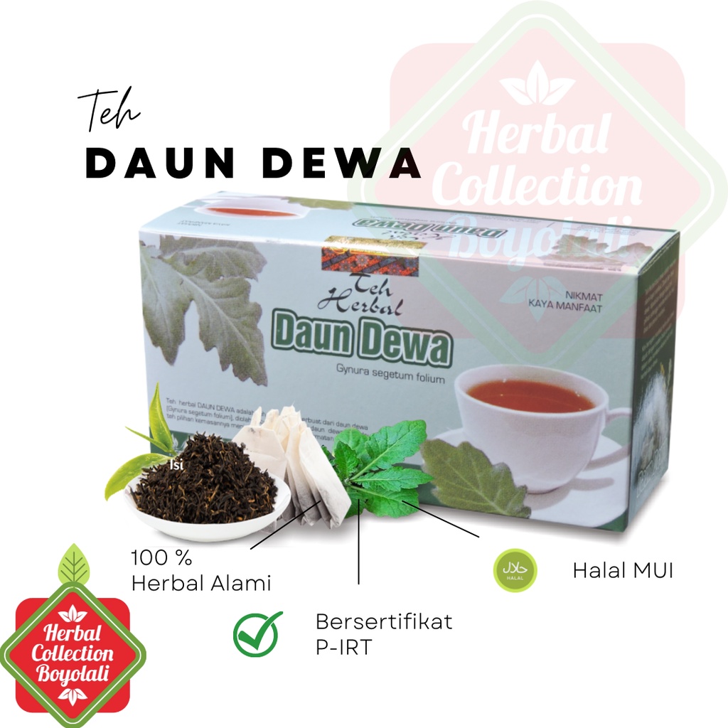 Jual Teh Daun Dewa Tazakka Herbal Kering Isi 20 Kantung Celup Tea Bag ...