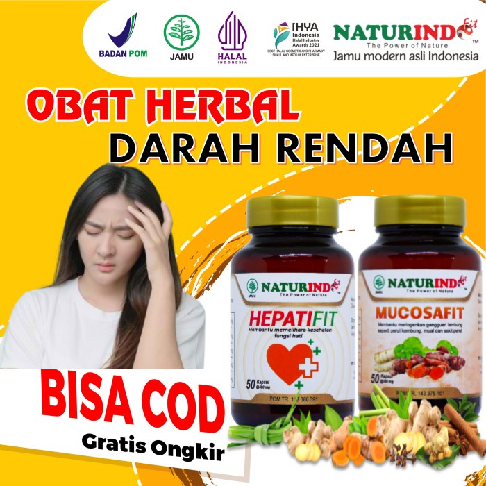 Jual Obat Anemia Kurang Darah Obat Hipotensi Hypotensi Penambah Hb