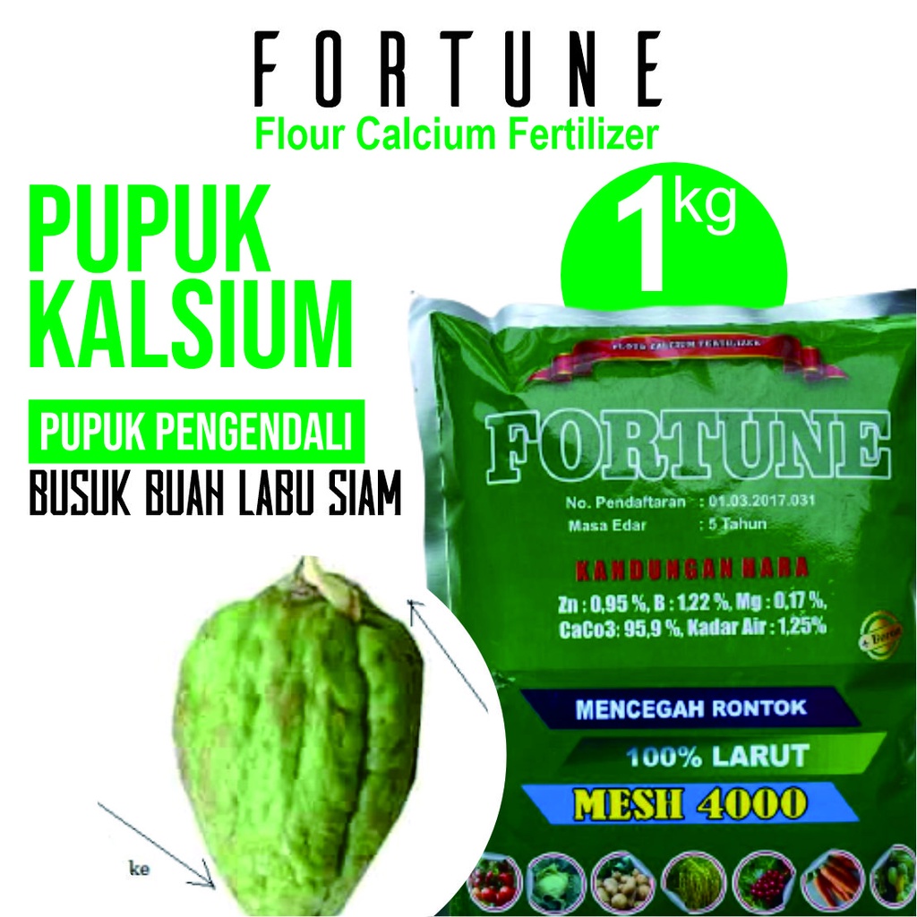 Jual (PROMO COD) FORTUNE isi 1KG Obat Busuk Buah Pada Labu Siam - Obat ...