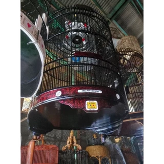 Bir-birini sikish Rus guruhi birinchi marta lesbian porno