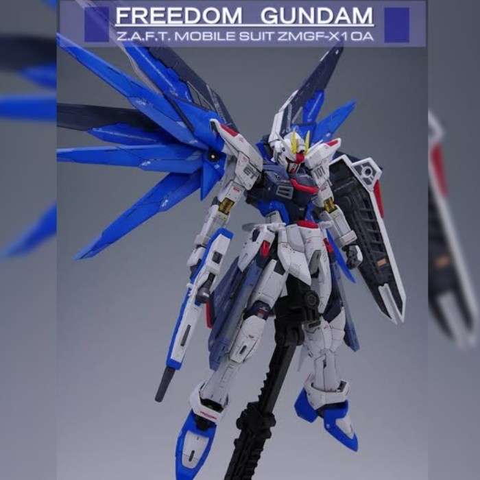 Jual Bandai Rg Real Grade 1/144 Freedom Gundam | Shopee Indonesia