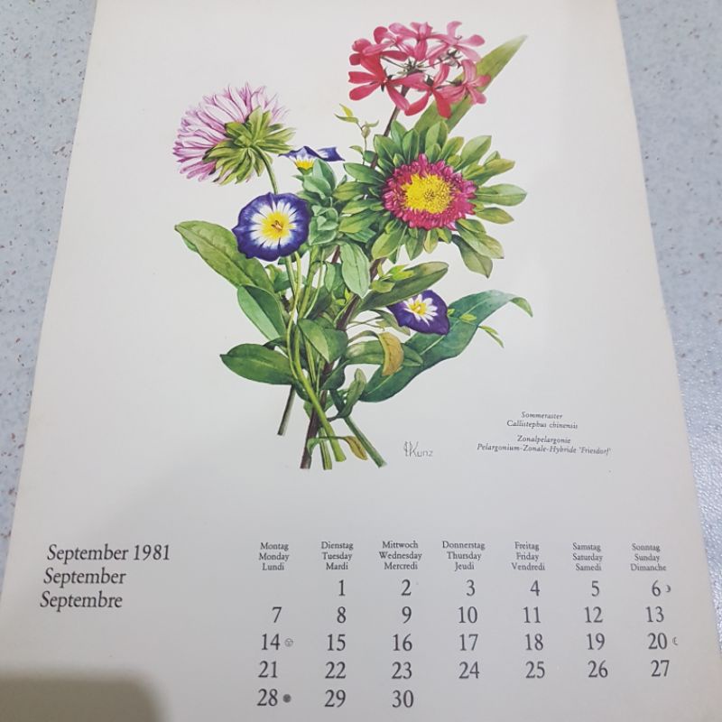 Jual Kalender asli cetakan 1981 Jerman bulan September 1981 gambar
