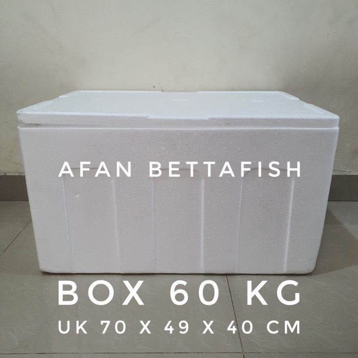 Jual Styrofoam Box Kg X X Cm Box Sterefoam Kg Shopee