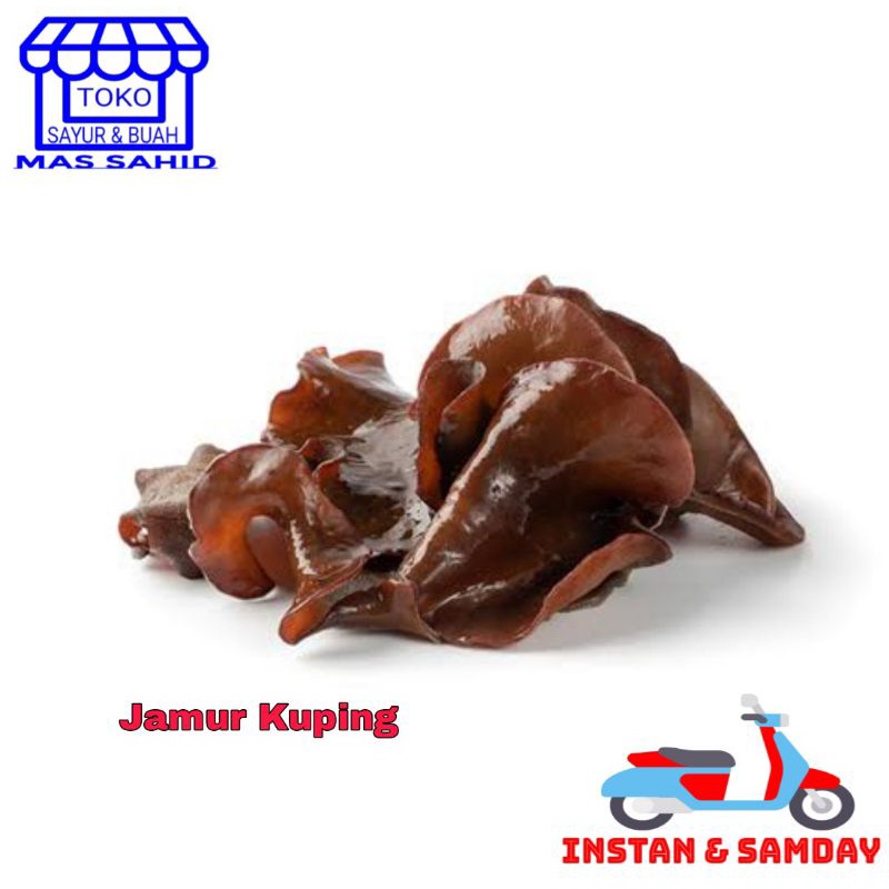 Jual Jamur Kuping Segar 250 Gram Shopee Indonesia